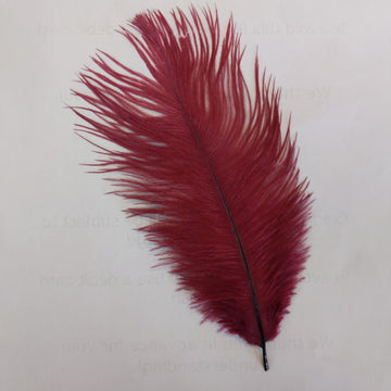 Ostrich Feather (Burgundy)