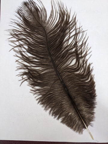 Ostrich Feather (Brown)