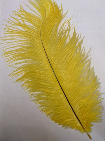 Ostrich Feather (Yellow)