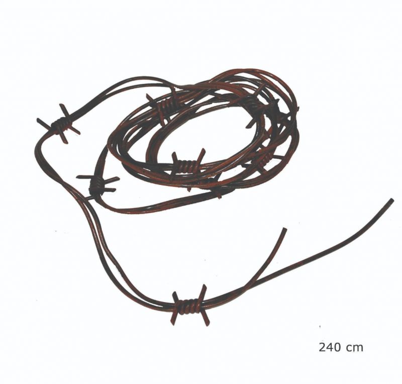 Barbed Wire Crown A Chorus Line