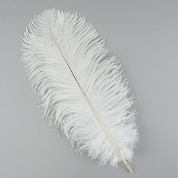 Ostrich Feather (White)