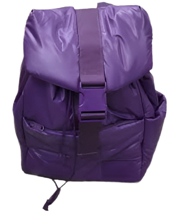 Nikolay City Backpack (Purple)