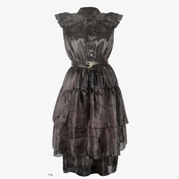 Gothic Prom Dress (Adult)