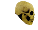 Bone Skull Mask