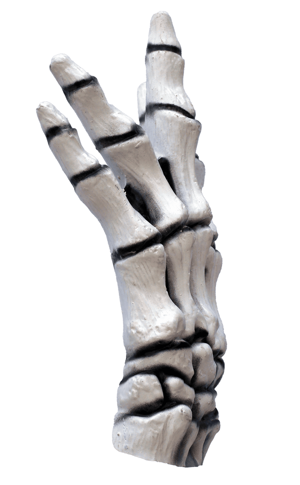 White Skeleton Gloves (Child)