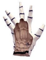 White Skeleton Gloves (Child)
