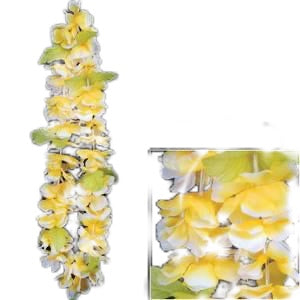 Gelb-weiße Plumeria-Lei