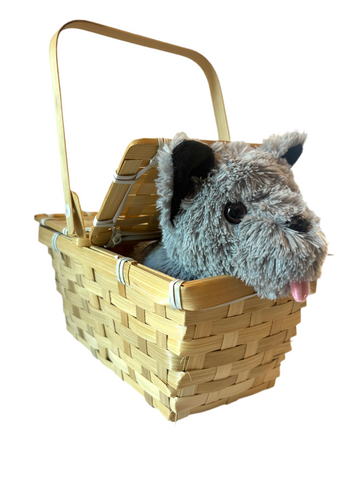 Toto in basket