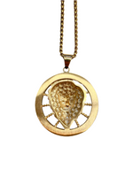 Iced Out Framed Lion Head Necklace
