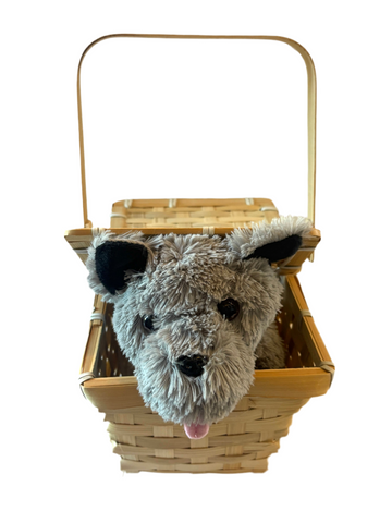 Toto in basket