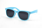 Wayfarer Sunglasses