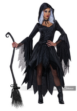 Bewitching Beauty Womens Costume