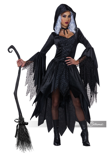Bewitching Beauty Womens Costume