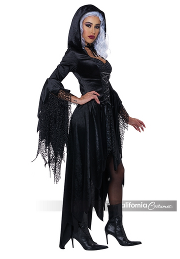 Bewitching Beauty Womens Costume