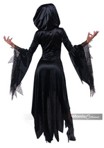 Bewitching Beauty Womens Costume