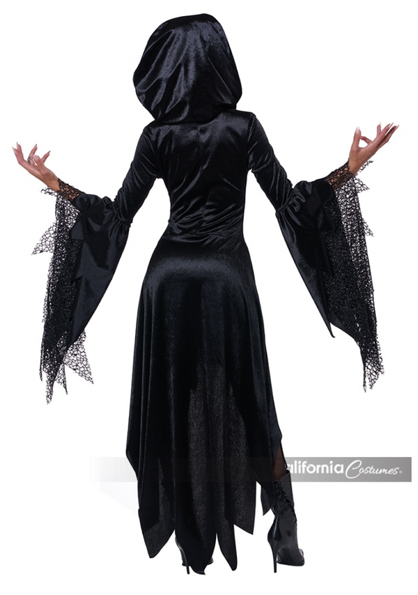 Bewitching Beauty Womens Costume