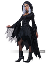 Bewitching Beauty Womens Costume