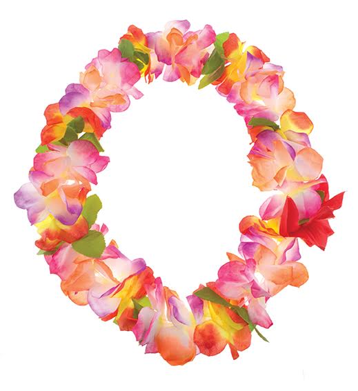 Multicolored Lei