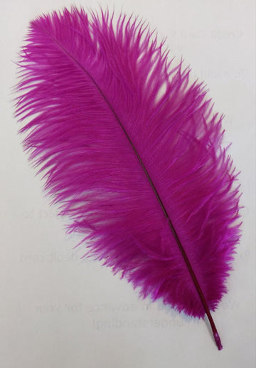 Ostrich Feather (Vibrant Berry)