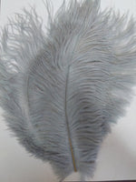 Straußenfeder (Silber)