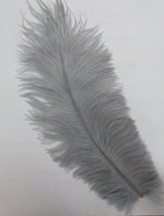 Straußenfeder (Silber)