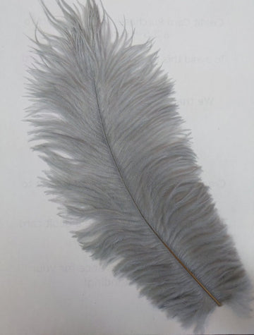 Ostrich Feather (Silver)