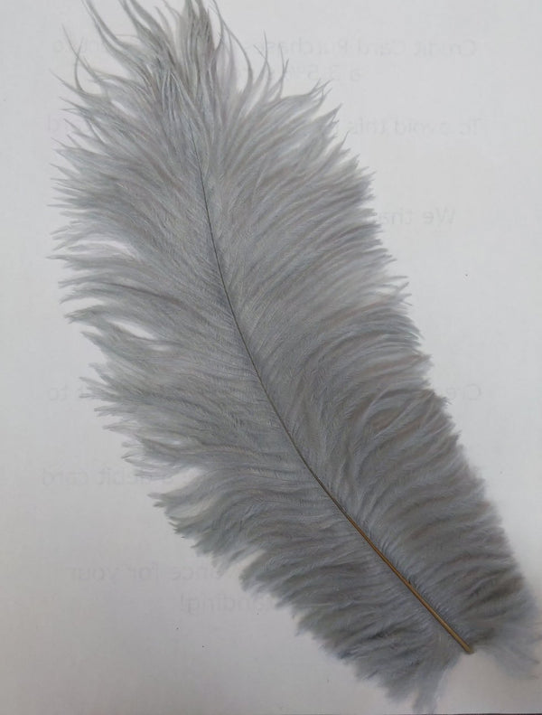 Straußenfeder (Silber)