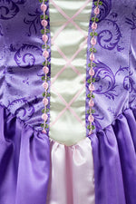 Rapunzel Costume (Adult)