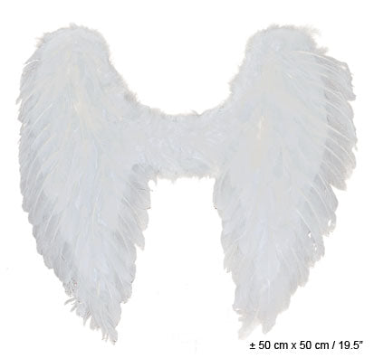 Angel Wings Feather