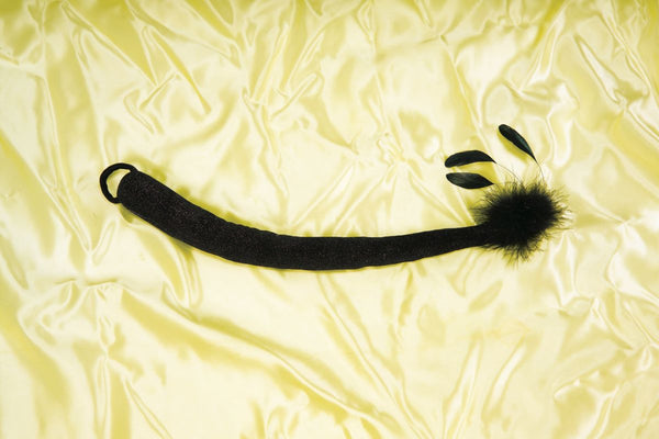 Sophisticated Cat Tail