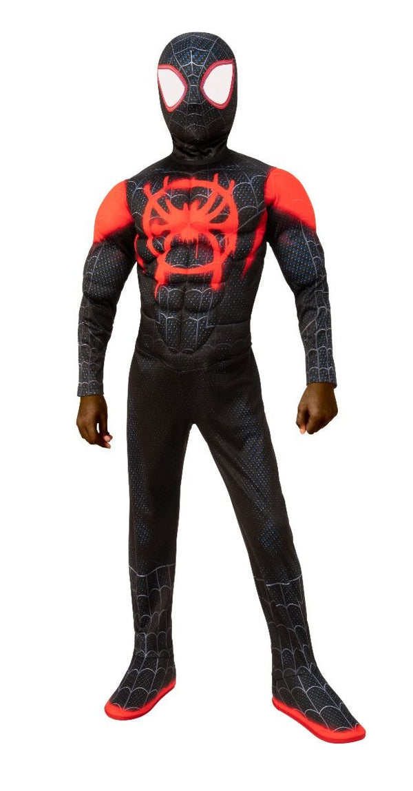 Miles Morales Spiderman into the Spider Verse