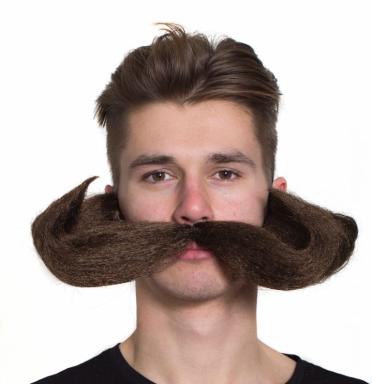 Oompahpah Moustache