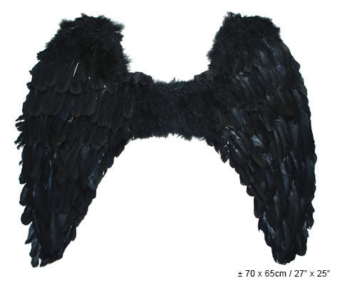 Alas Pluma Negra Grande