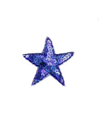 Sequin Star Applique - Small