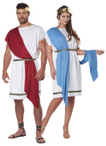 Party Toga (Adult)