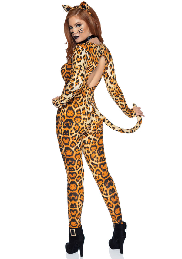 Puma (Adulto)
