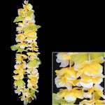 Gelb-weiße Plumeria-Lei