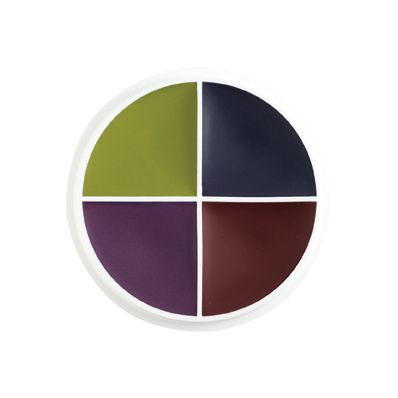 Bruise FX Color Wheel by Ben Nye