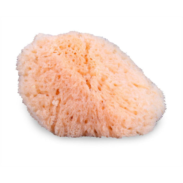 Sea Sponge by Mehron