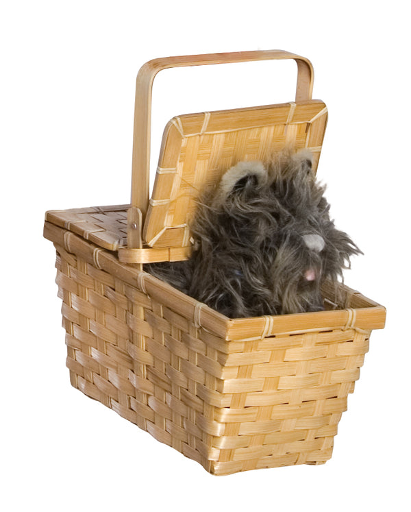 Toto in basket