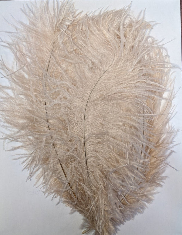 Ostrich Feather (Beige)
