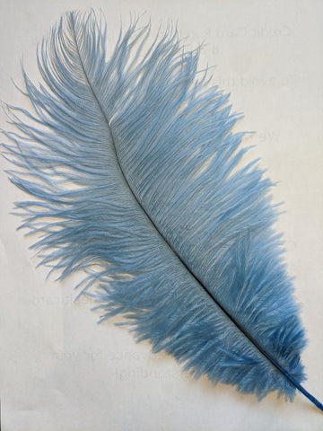 Straußenfeder (Kornblumenblau)