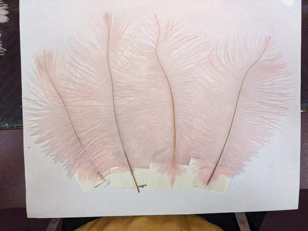 Ostrich Feather (Light Pink)