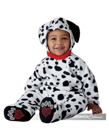 Adorable Dalmatian (Tot)