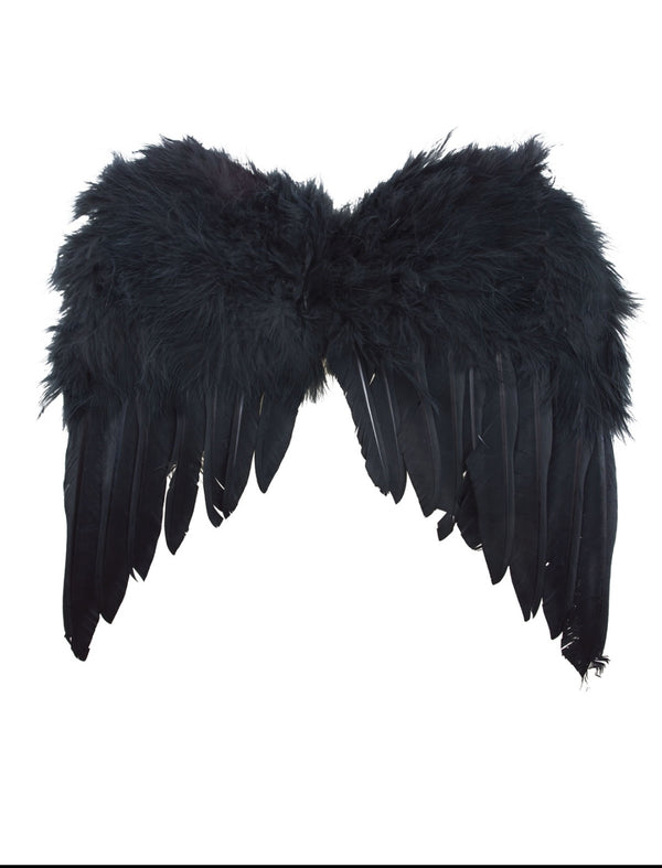 Small Feather Wings (Black)