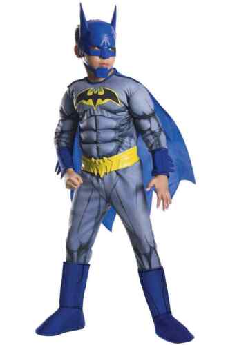 Batman Unlimited Costume (Child)