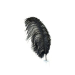 Ostrich Feather (Black)