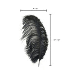 Ostrich Feather (Black)