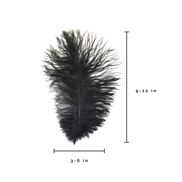 Ostrich Feather (Black)
