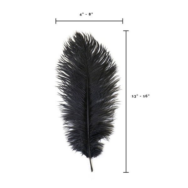 Ostrich Feather (Black)